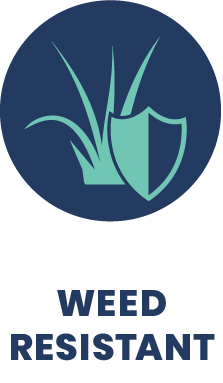 Weed Resistant Icon